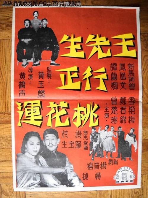 布莱顿-霍夫办理假驾驶证
